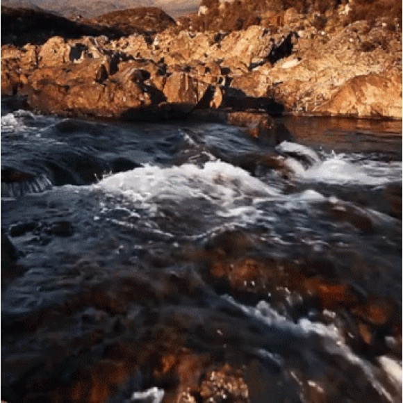 Meet your Posher, April - Picture 4 of 6